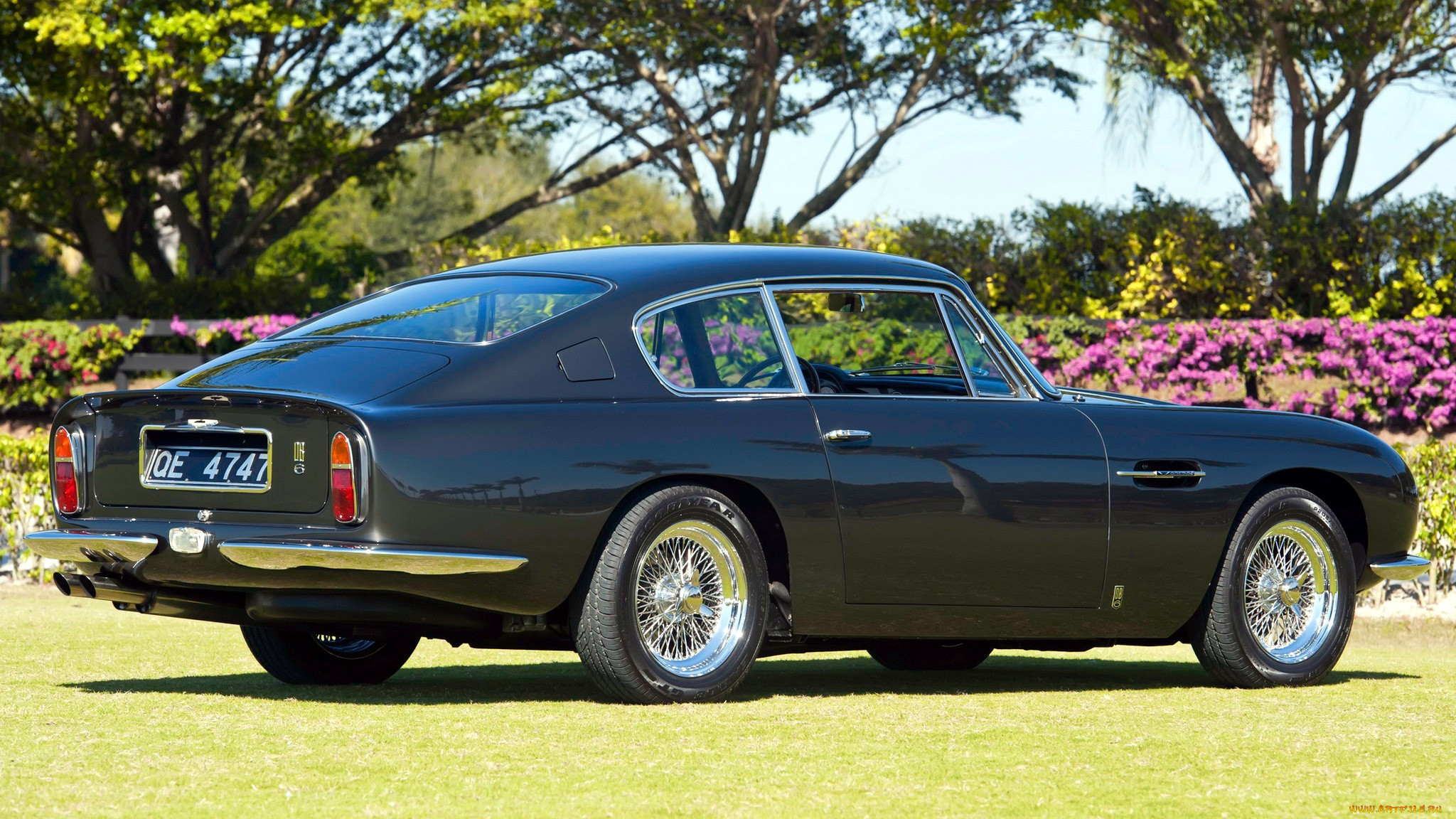 aston, martin, db6, , , , ltd